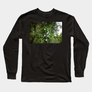 Pine Tree Purple Berries Long Sleeve T-Shirt